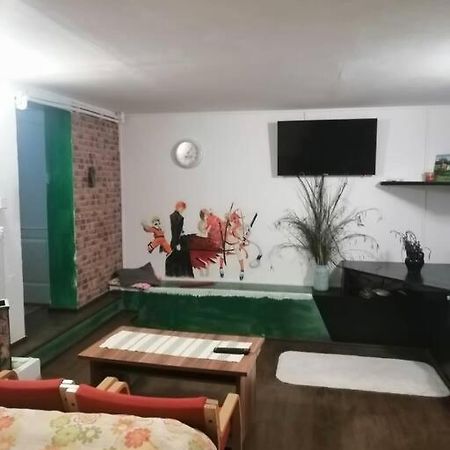 Moss'S Cave Apartment Timisoara Exterior photo