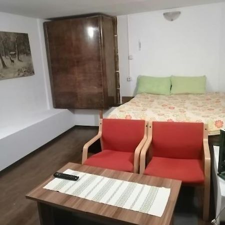 Moss'S Cave Apartment Timisoara Exterior photo