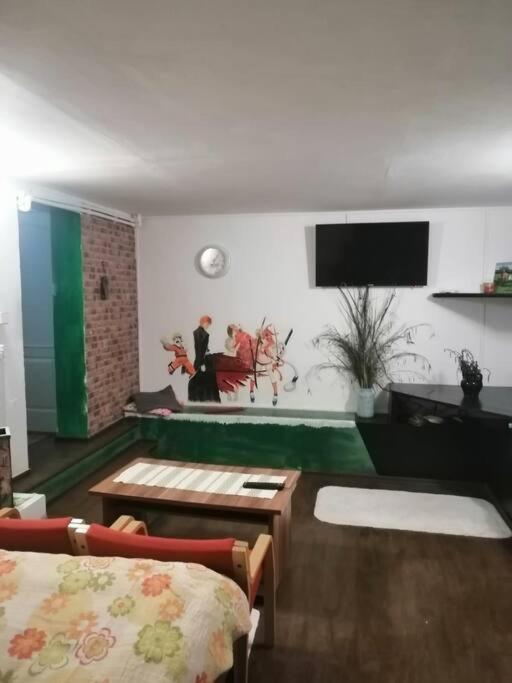 Moss'S Cave Apartment Timisoara Exterior photo